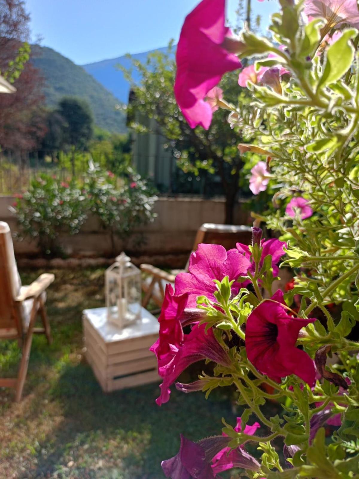 La Civetta Appartamento Con Giardino E Parcheggio Nave  Exterior foto